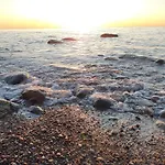 Roza Wiatrow Lesny Klif 2 Debina (Ustka)