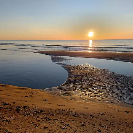 Róża Wiatrów Leśny Klif 2 Apartament *