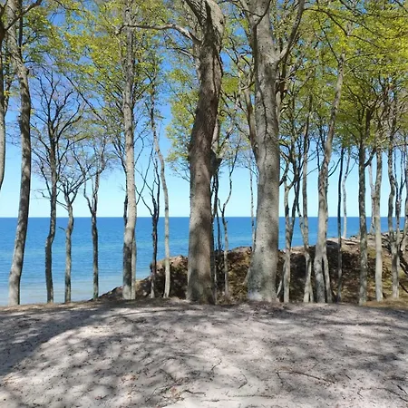 Apartament Róża Wiatrów Leśny Klif 2 *