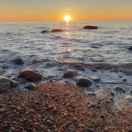 Róża Wiatrów Leśny Klif 2 *