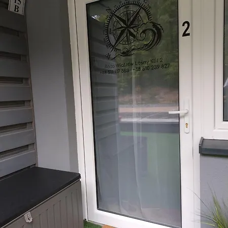 Róża Wiatrów Leśny Klif 2