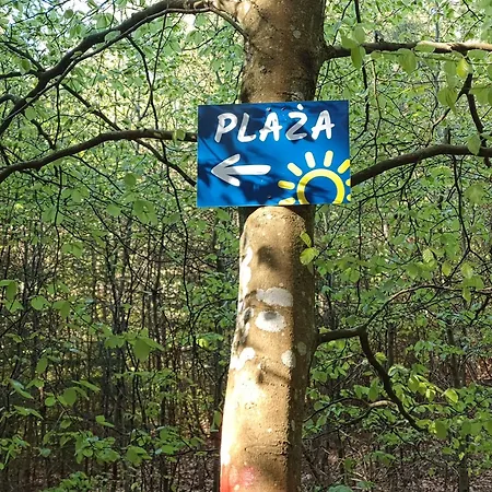 Róża Wiatrów Leśny Klif 2 Apartament *