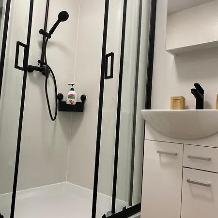 Róża Wiatrów Leśny Klif 2 *