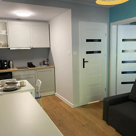 Róża Wiatrów Leśny Klif 2 *