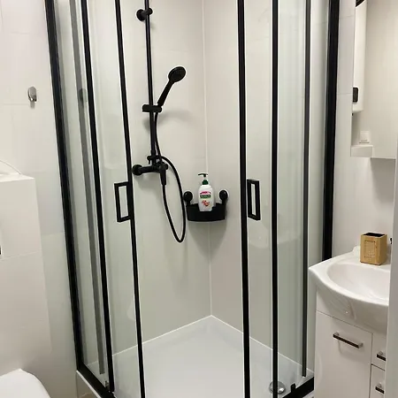 Róża Wiatrów Leśny Klif 2