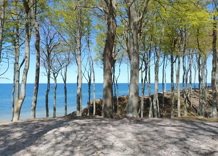 Apartmán Roza Wiatrow Lesny Klif 2 *