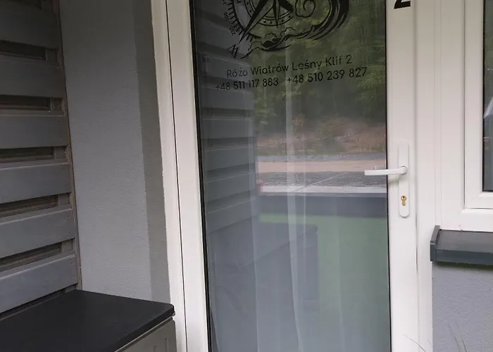 Roza Wiatrow Lesny Klif 2